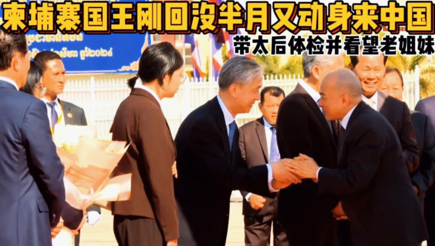 重庆动物园回应莽灿灿伤情,胡塞称美英军舰属于袭击范围,成语解释落实可能存在的问题_GM版V14.16