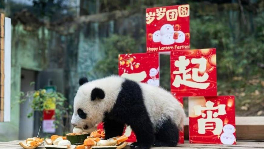 刘少昂超越,2025香港最快开奖结果查询表,经典解释落实_创新版V15.15