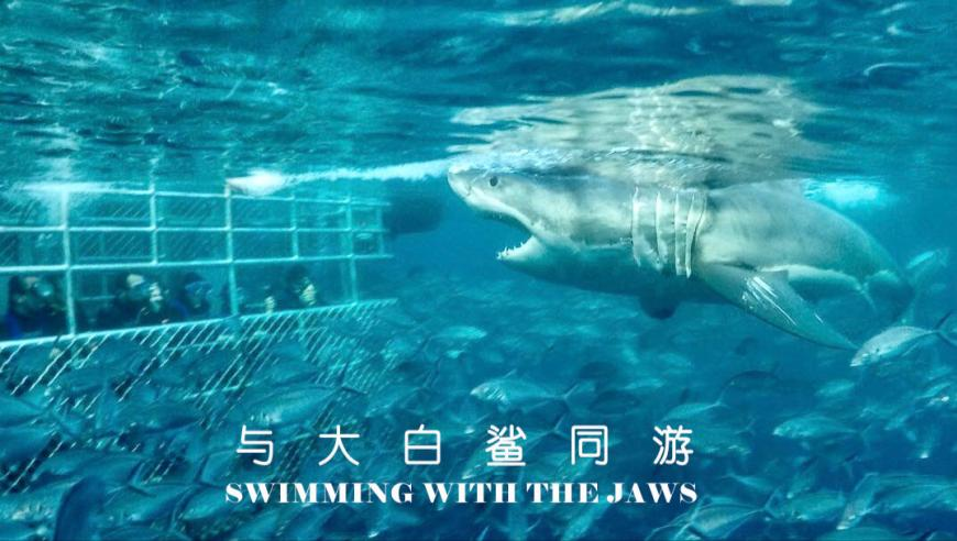 加拿大省长模仿特朗普签令下架美国酒,新澳门管家婆四肖四码精准,最新热门解答落实_入门版V11.30